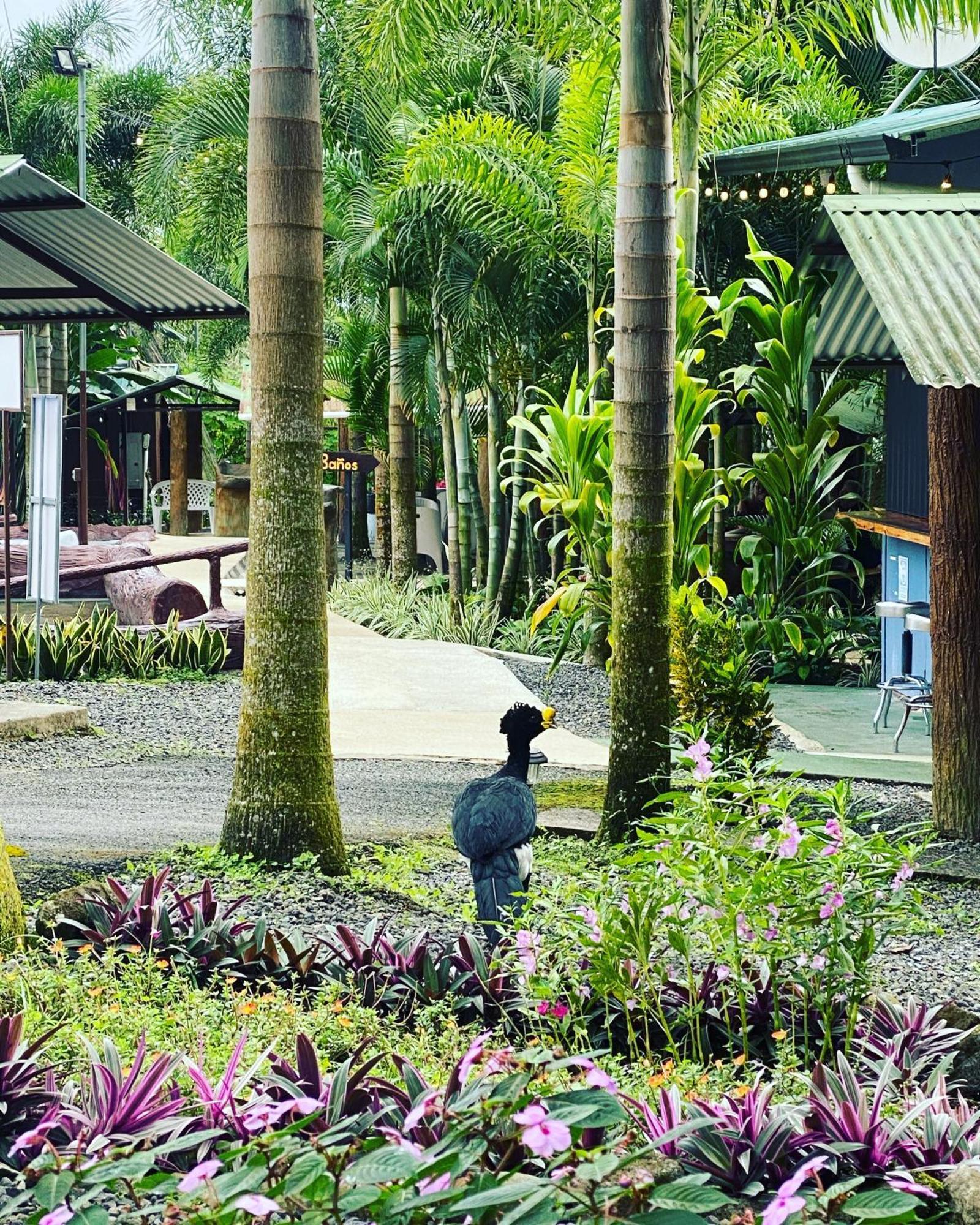 Termales Del Arenal Hotel La Fortuna Exterior photo